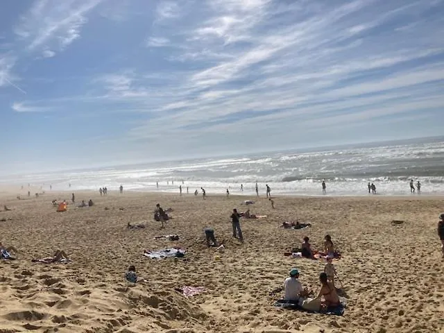 Jolie Maisonnette Dans Village 別荘 *